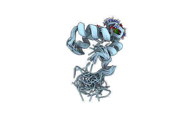 3CTN image