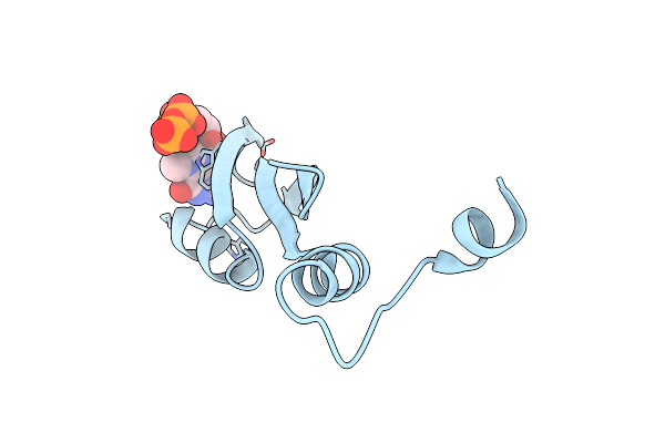 3CTR image