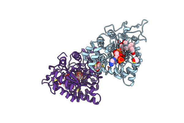 3CV6 image