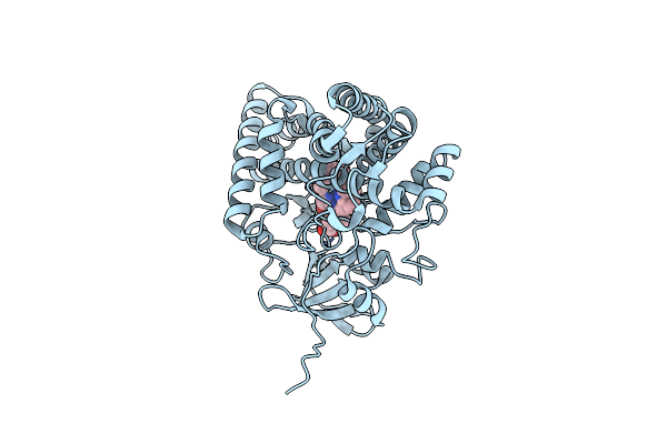 3CV8 image