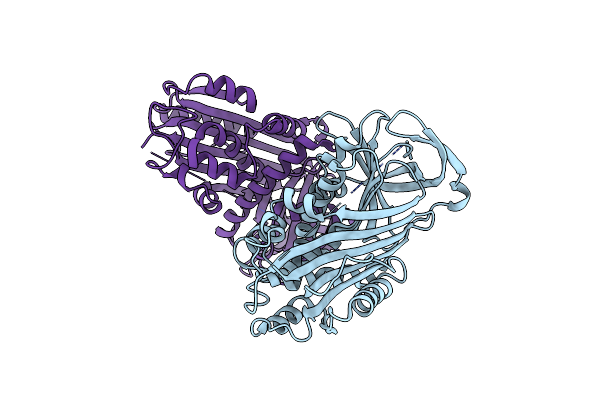 3CVM image