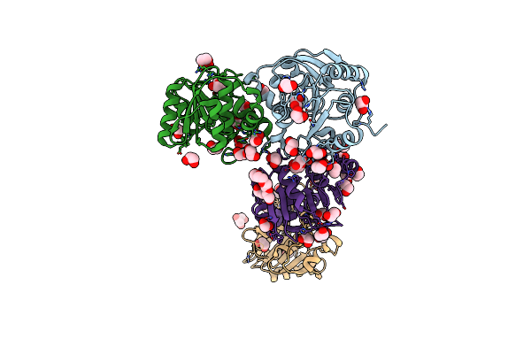 3CVO image