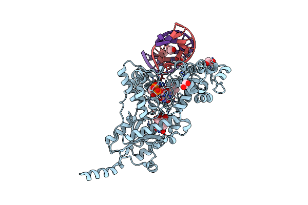 3CVV image