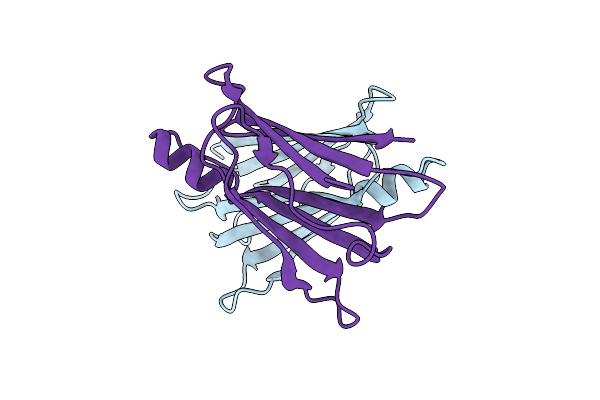 3CXF image