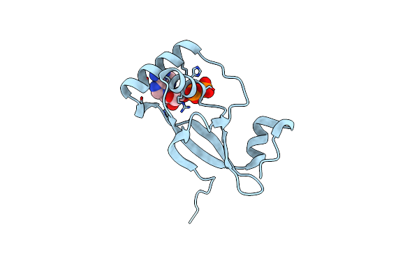 3CYI image