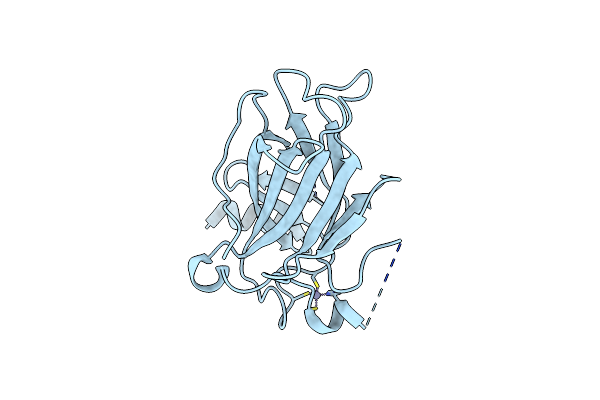 3D06 image