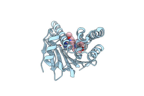 3D0B image