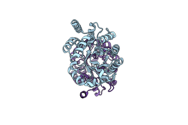 3D0C image