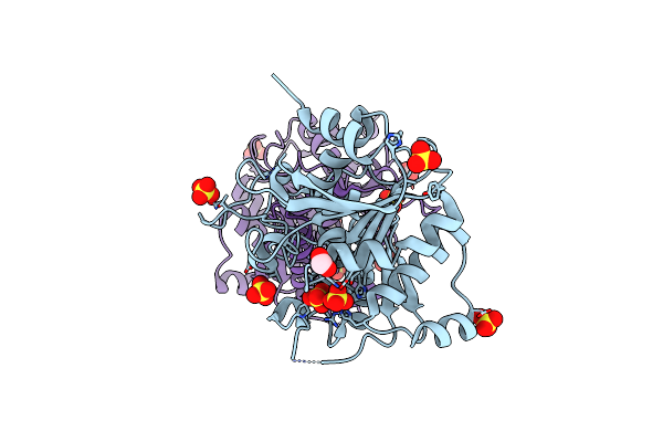 3D0K image