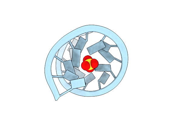 3D0M image