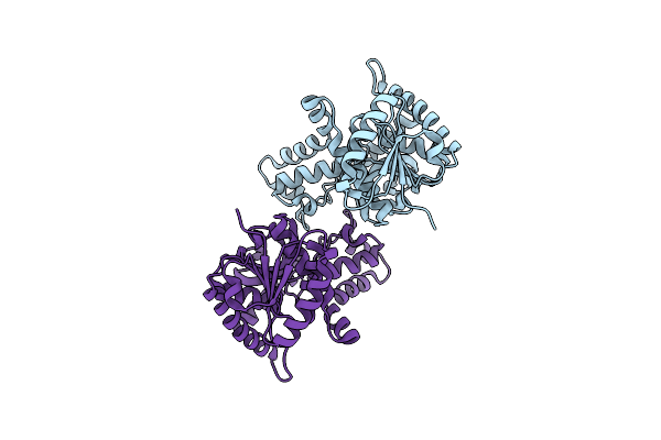 3D0O image
