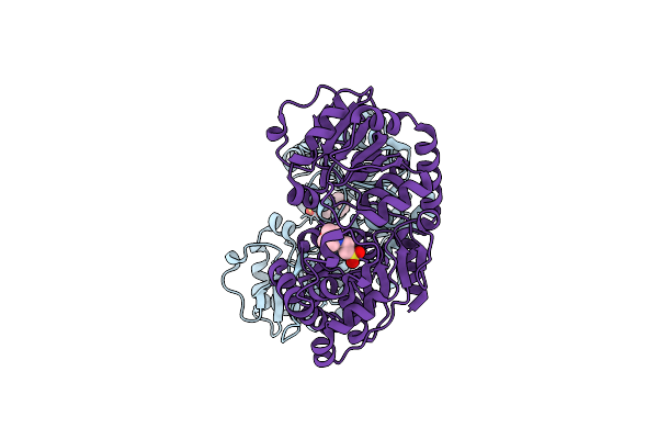 3D0Q image