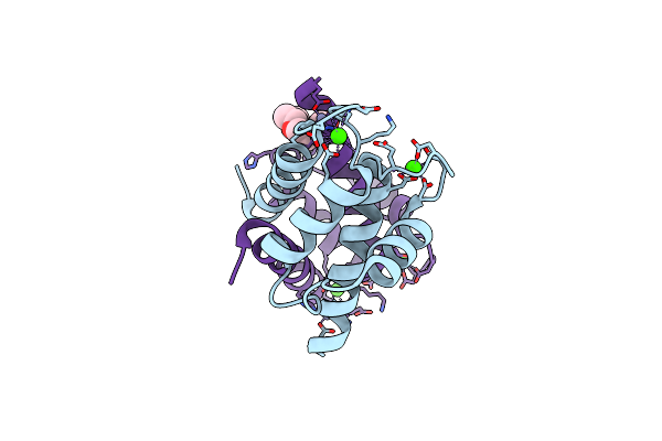 3D0Y image