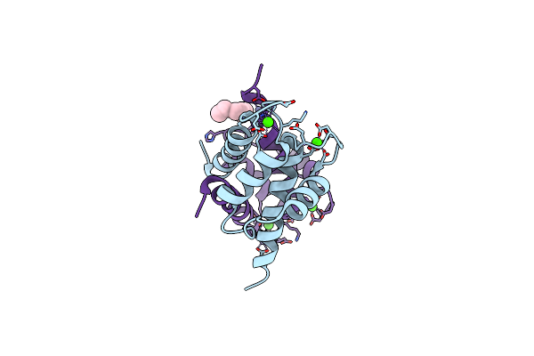 3D10 image