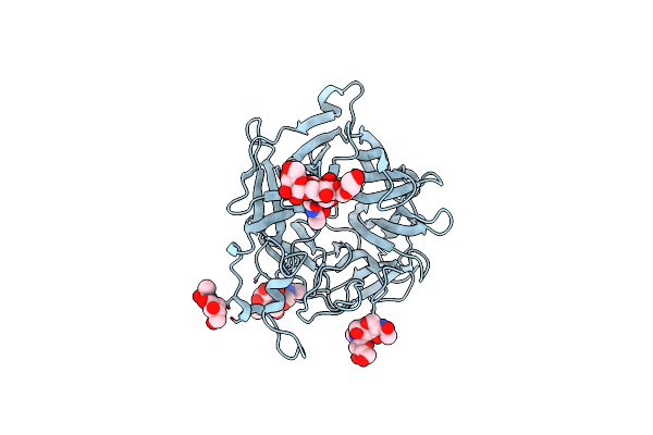 3D11 image