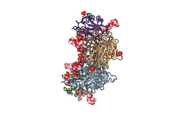 3D12 image