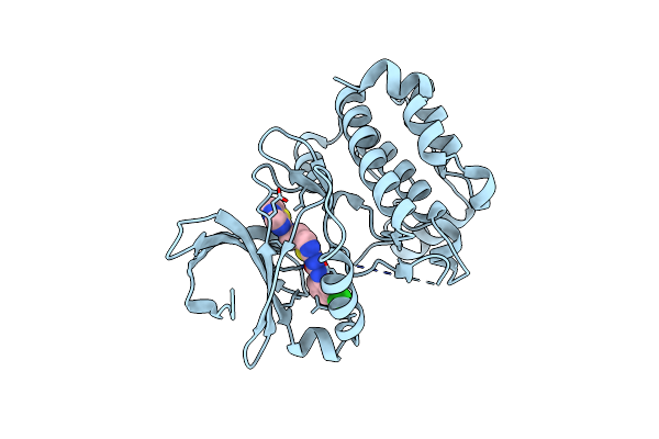 3D15 image