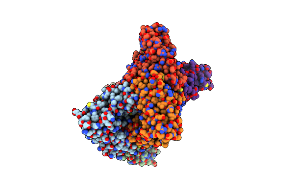 3D19 image