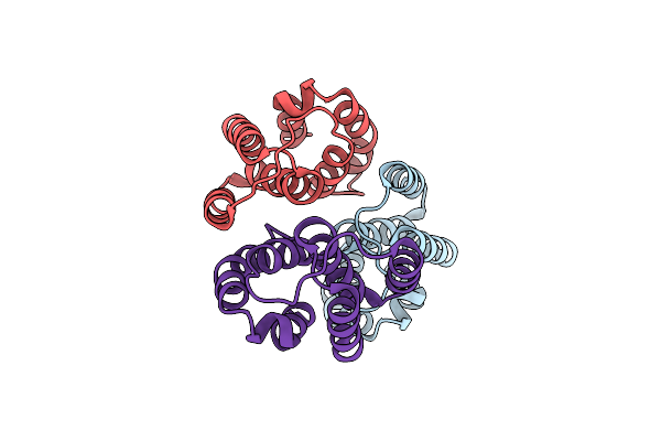 3D1B image
