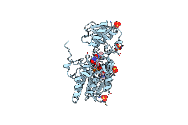 3D1C image