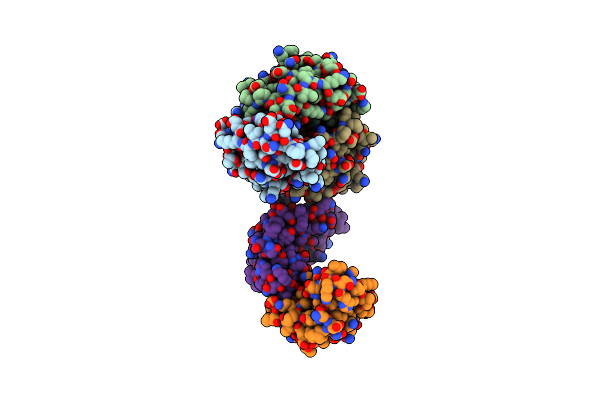 3D1D image