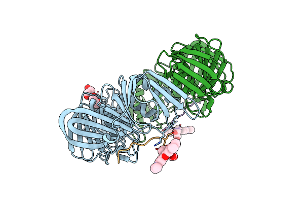 3D1F image