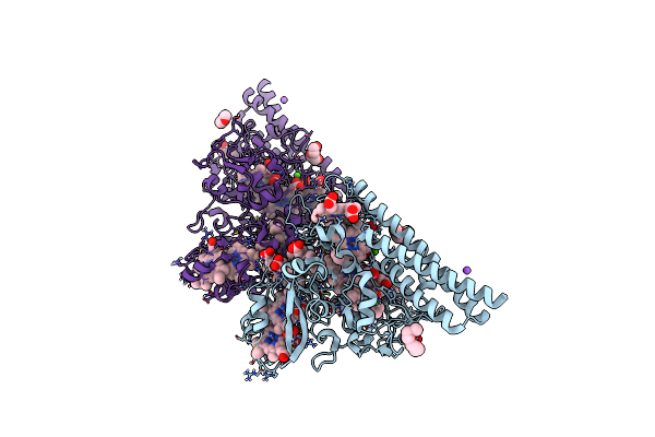 3D1I image