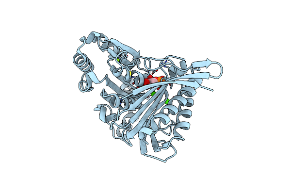 3D1R image