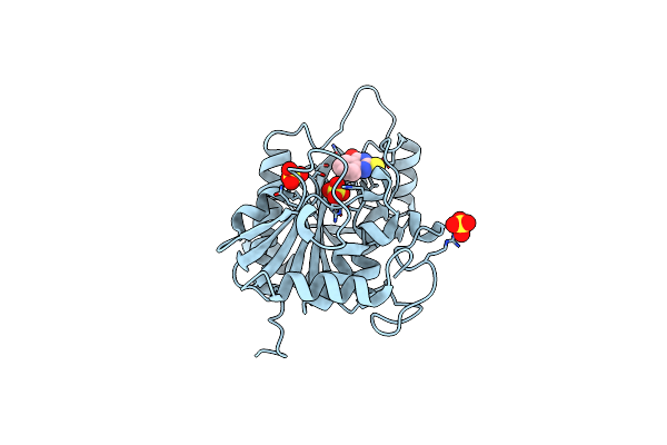 3D1V image