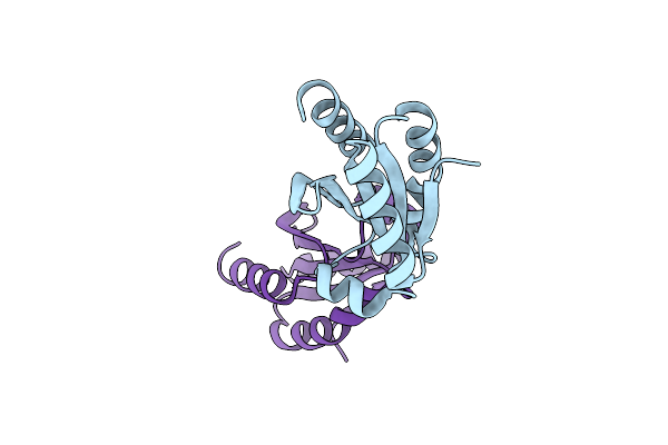 3D21 image