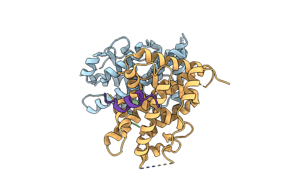 3D24 image