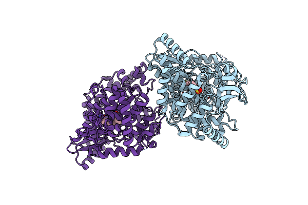 3D28 image