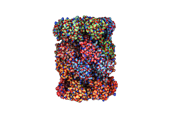 3D29 image
