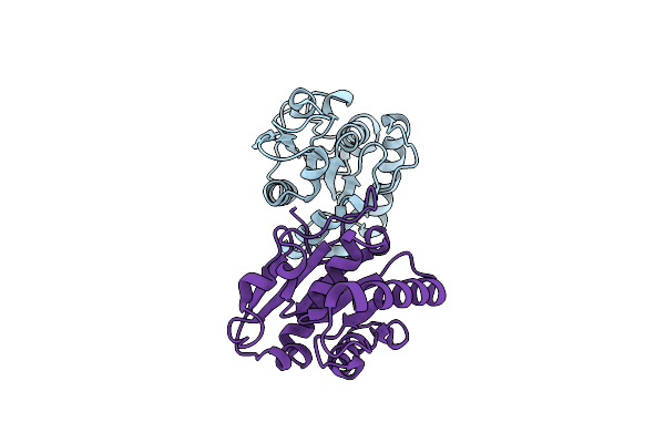 3D2B image