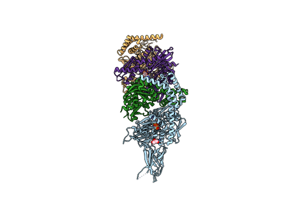 3D2E image