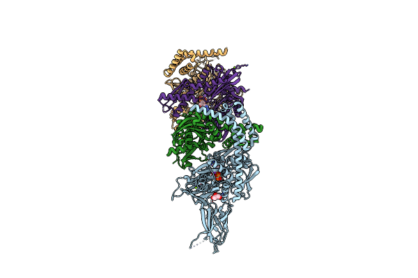 3D2F image