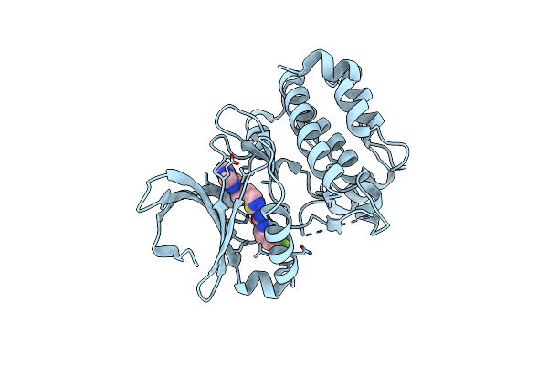 3D2I image