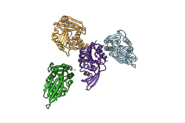 3D2L image
