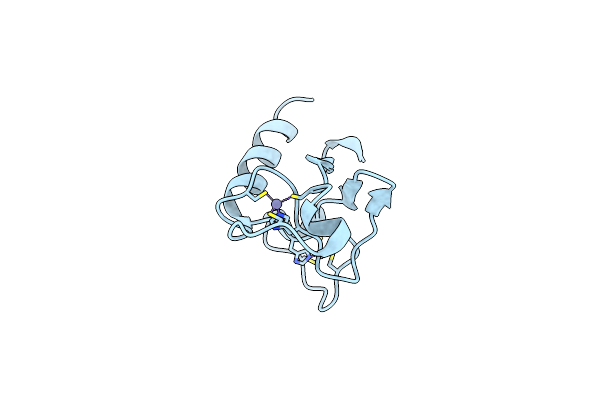 3D2N image