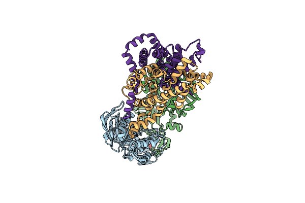 3D31 image