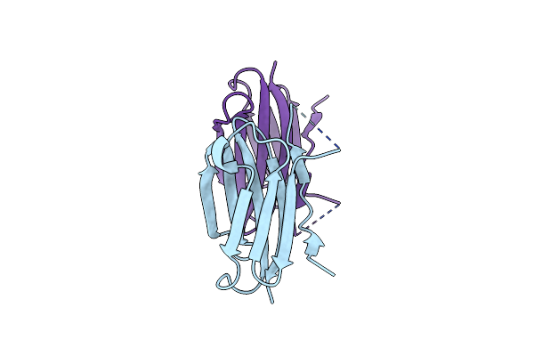 3D33 image