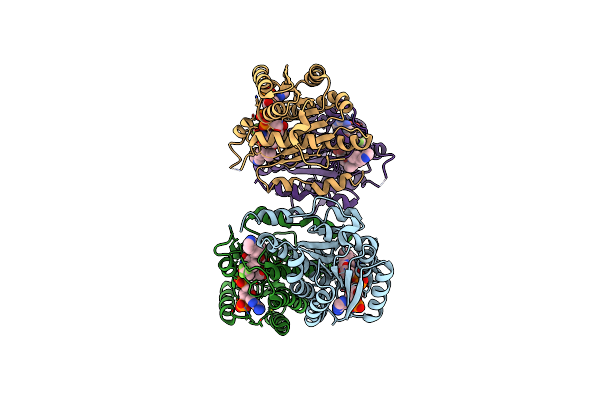 3D3E image