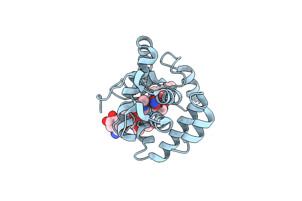 3D3H image