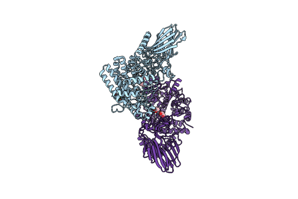 3D3I image