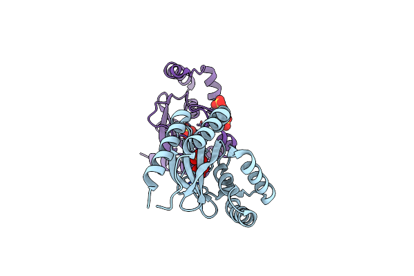 3D3O image