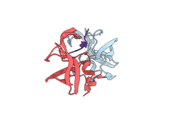 3D3T image