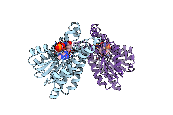 3D3W image