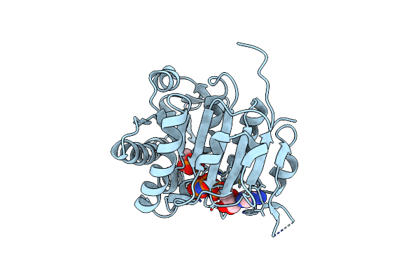 3D41 image