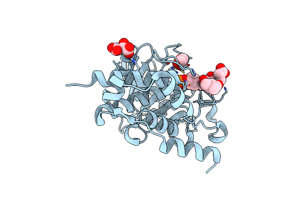3D42 image