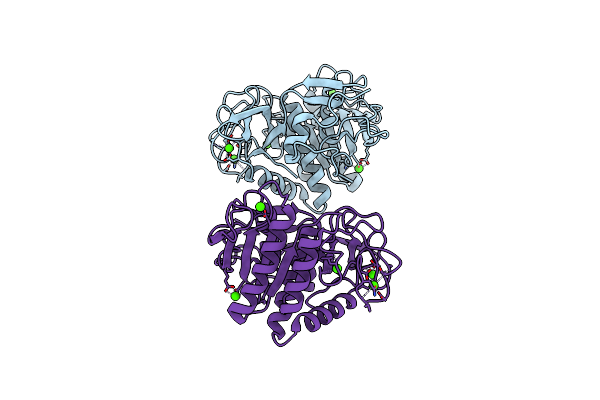 3D43 image